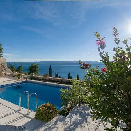 Luxury With Private Pool Near The In On Brac Island Villa *